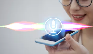 The Future of Authentication: Acceptance of Voice Biometrics