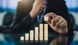 The Bridge to Investing Maturity Path