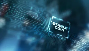 Stablecoin Partner Guide for FIs: A How-To and What to Ask