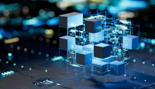 The Technology Product Owner: New Rules, New Roles at FIs
