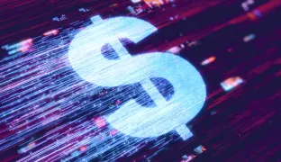 Digital Money Comes to Payments, but the Crypto Has Disappeared