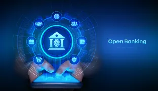 Data Transparency in the Age of Cyber and Privacy Risk