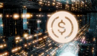 Prepaid and Stablecoins: Turning Liabilities Into Assets