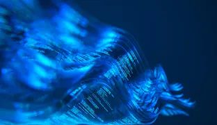 Agentic Standards: Platform Opportunities and Platform Solutions