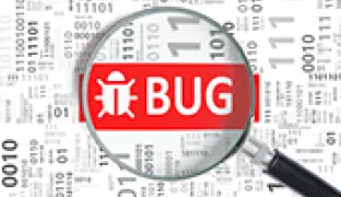 Bug Bounties: Overcoming Fears, Finding Solutions