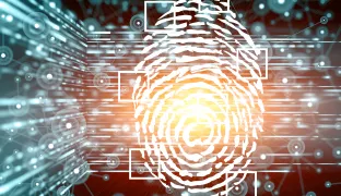 Future Investments in Fraud-Detection, ID Verification